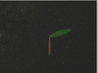 Photon Propagation